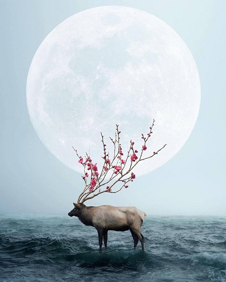 Ted Chin